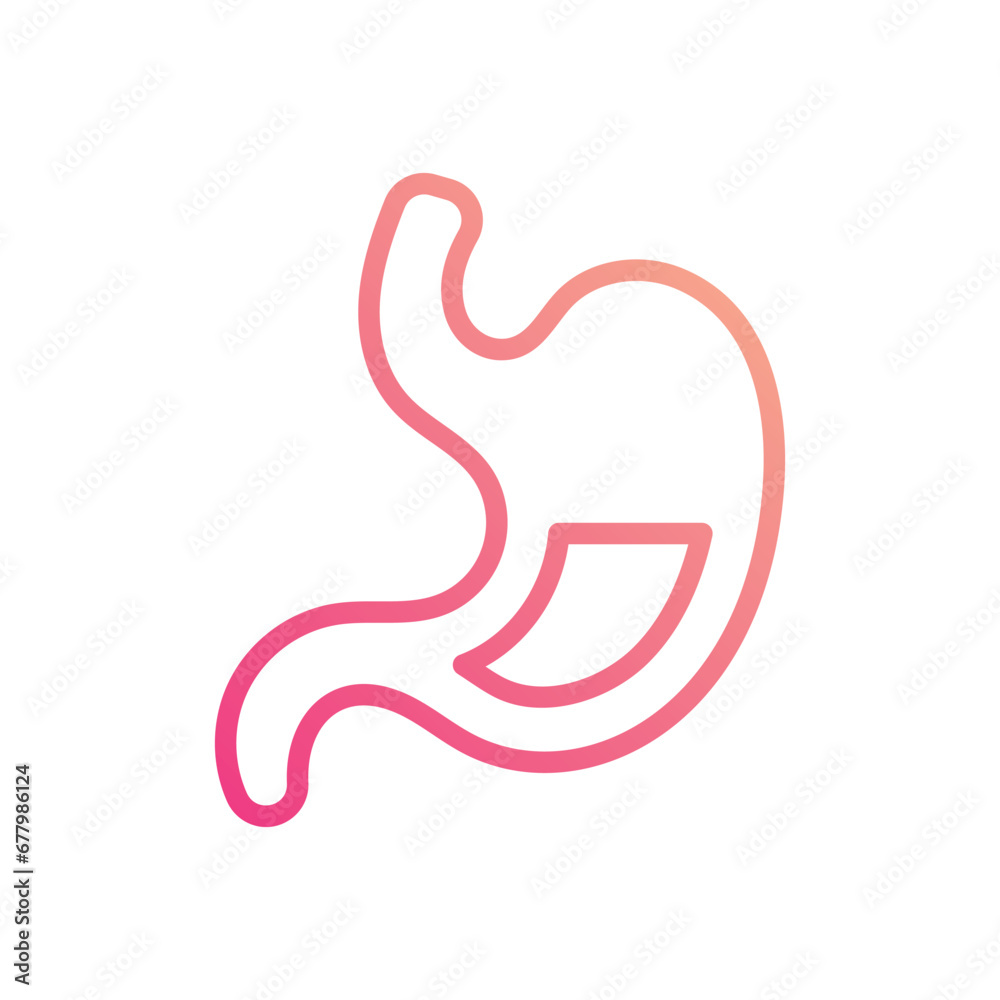 Stomach icon isolate white background vector stock illustration. Stomach icon isolate white background vector stock illustration.