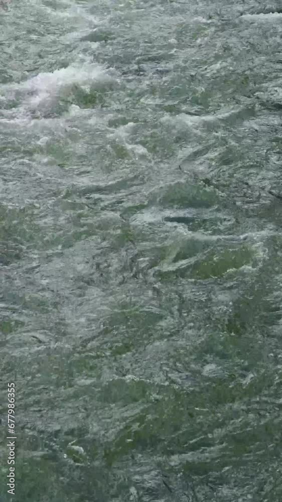 Rapid flowing water, fresh and cool passing by along the river. Vertical Video. Rapid flowing water, fresh and cool passing by along the river. Vertical Video.