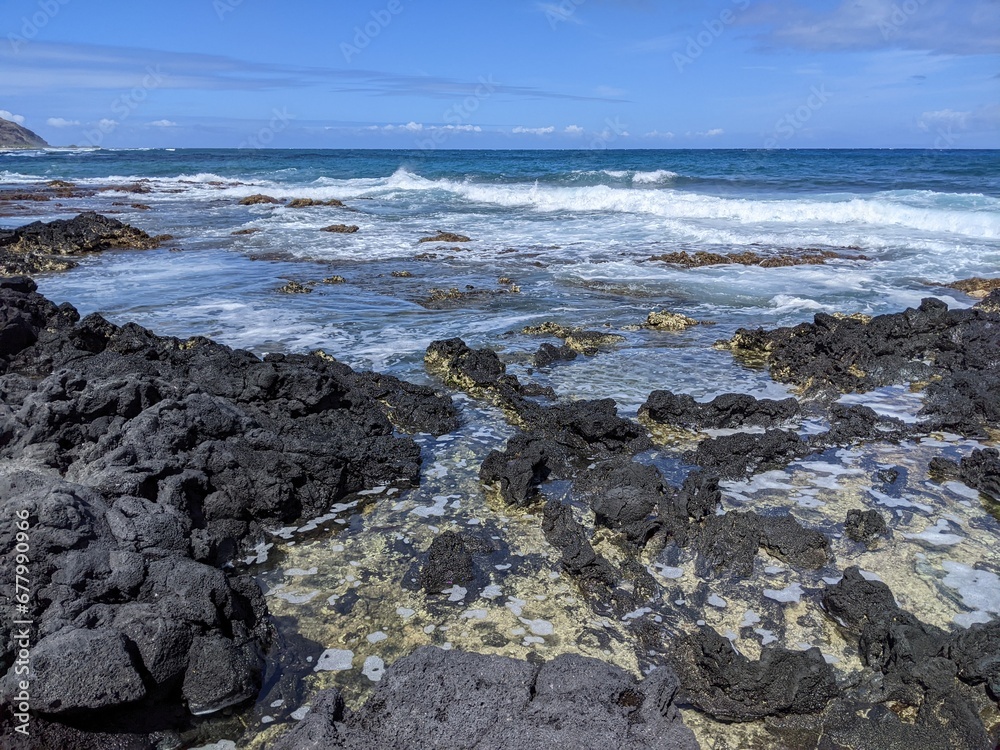 East Oahu Oceanside Landscape East Oahu Oceanside Landscape