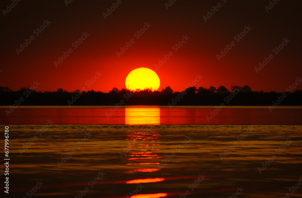 sunset with cygnus olor on the lake in the Danube Delta