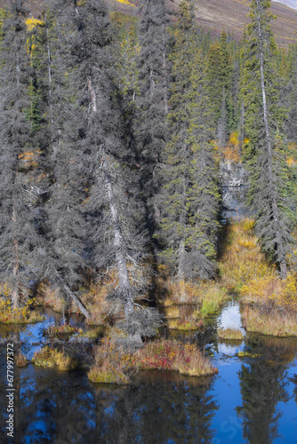 Yukon in Canada  wild landscape in autumn