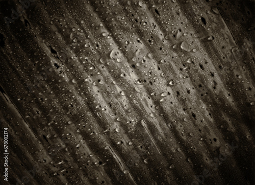 wildlife leaves pattern background on forest