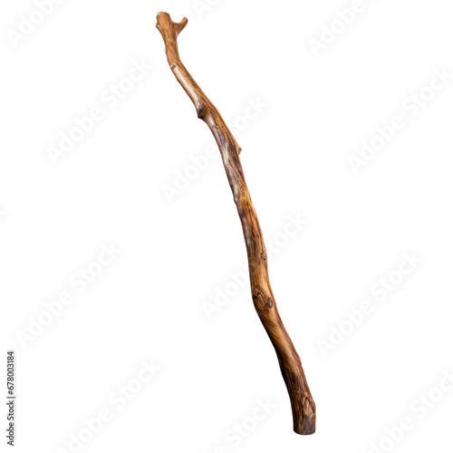 walking stick isolated on transparent background,transparency 