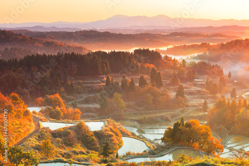 Morning glow of terraced rice fields and autumn leaves at Hoshitoge , Japan,Niigata Prefecture,Tokamachi, Niigata November 2020