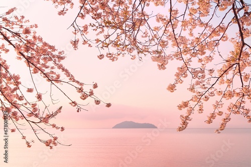 Cherry blossoms in Kaizu-Osaki , Japan,Shiga Prefecture,Takashima, Shiga April 2013 photo