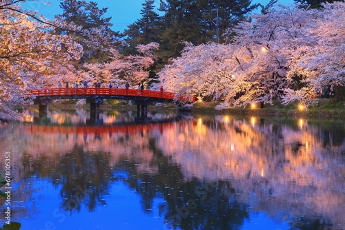 Wallpaper Mural Hirosaki Park, Cherry blossoms in the west moat and Shunyo Bridge light-up , Japan,Aomori Prefecture,Hirosaki, Aomori April 2021 Torontodigital.ca
