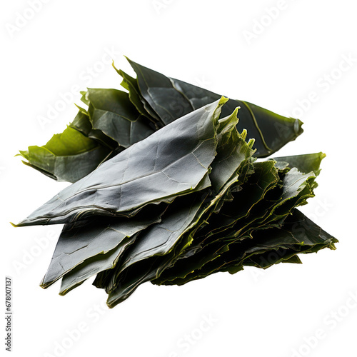 kombu seaweed isolated on transparent background,transparency  photo