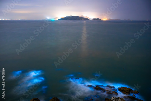 Blue tears Noctiluca scintillans. Photographed in Matsu, Taiwan photo