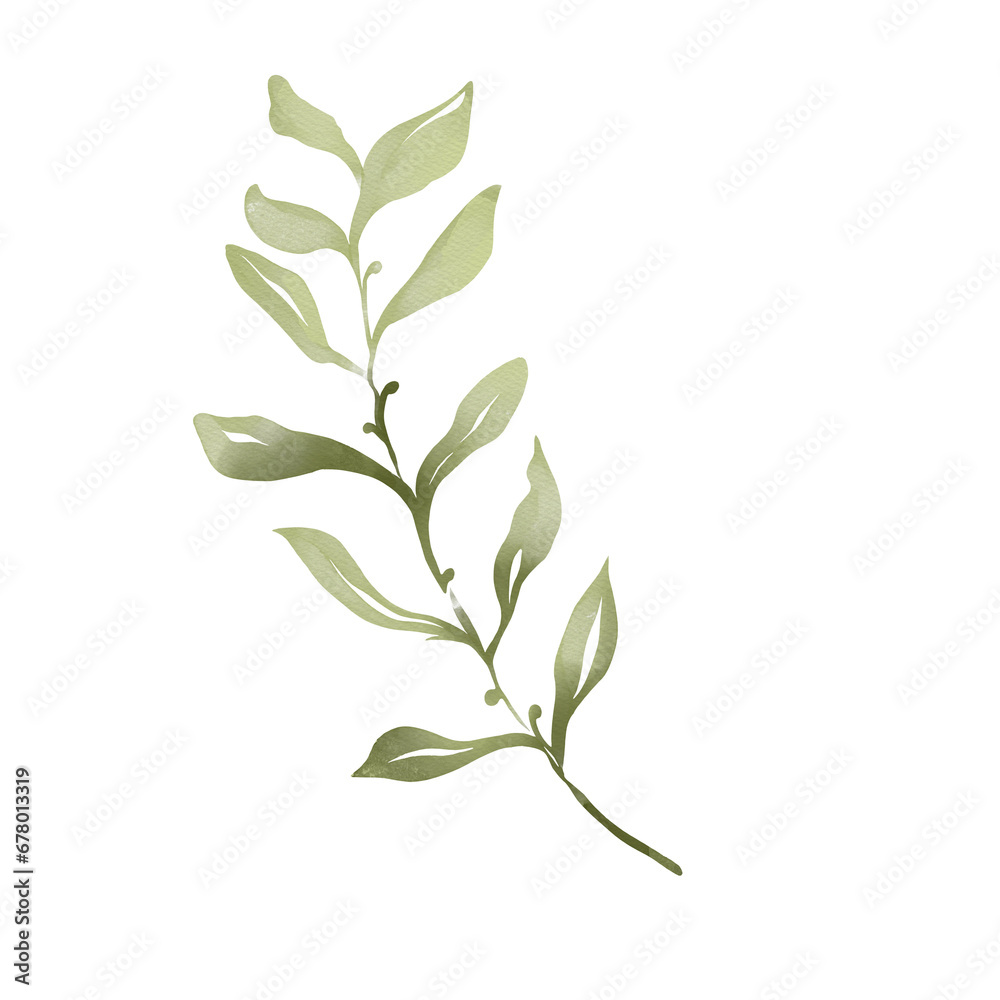 Obraz premium Watercolor illustration of green branch with leaves