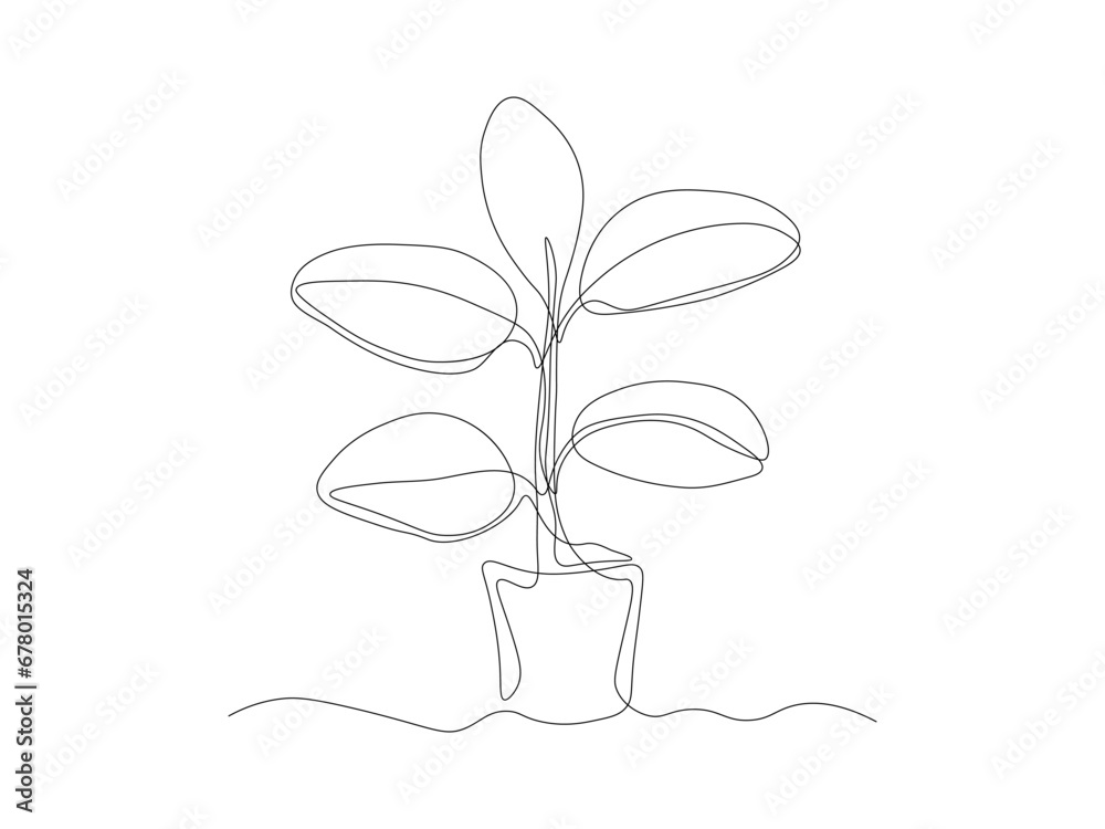 Abstract ficus in a pot, indoor plant, continuous one line art drawing Abstract ficus in a pot, indoor plant, continuous one line art drawing