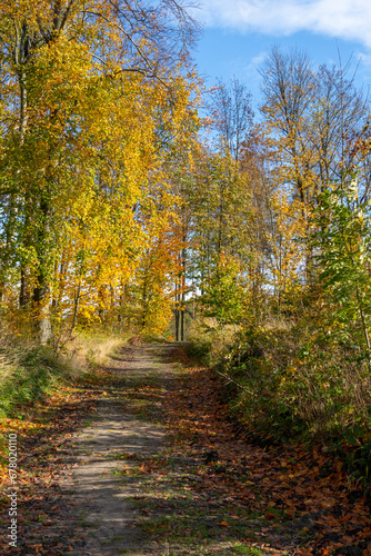 Herbstwanderung im Naturpark Zittauer Gebirge 3