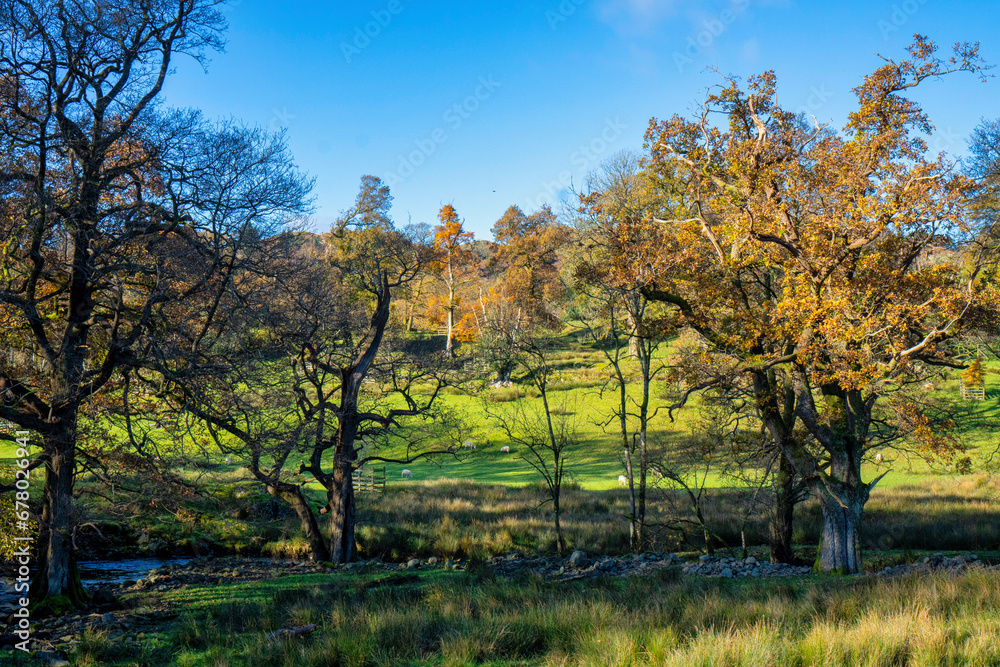 Autumnal scenery of Rydal, lake district national park Autumnal scenery of Rydal, lake district national park
