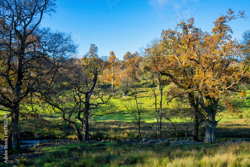 Autumnal scenery of Rydal  lake district national park 