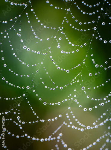 Close up macro image of spider web covered in water droplets.