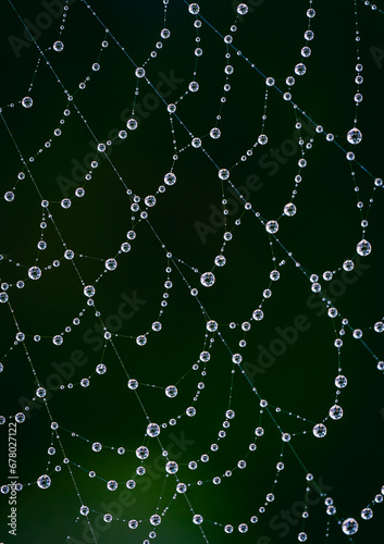 Close up macro image of spider web covered in water droplets.