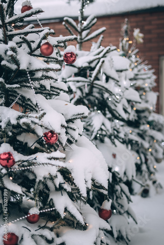 beautiful snow Christmas trees with red balls © Cavan