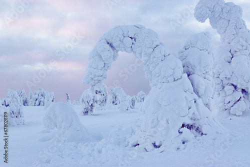 frozen winter landscape with snow-covered trees in Lapland, Finland