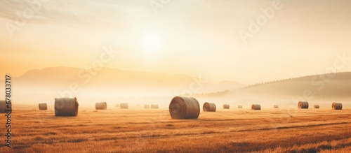 Foggy morning meadow with vintage sunrise photo of hay bales Copy space image Place for adding text or design photo
