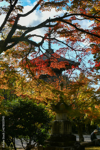 京都 真如堂の三重塔と紅葉