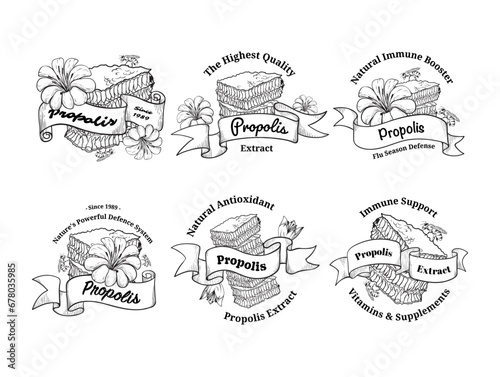 Propolis extract immune support vitamins and supplements engraved label design template set vector