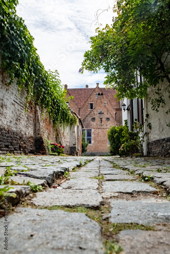 Fototapeta Naklejka Na Ścianę i Meble -  This serene image captures an empty cobblestone street in Mechelen's Groot Begijnhof. The quiet laneway, lined with historic architecture, offers a glimpse into the medieval charm of this Flemish city