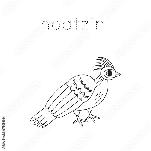 Trace the letters and color cartoon hoatzin bird. Handwriting practice for kids.