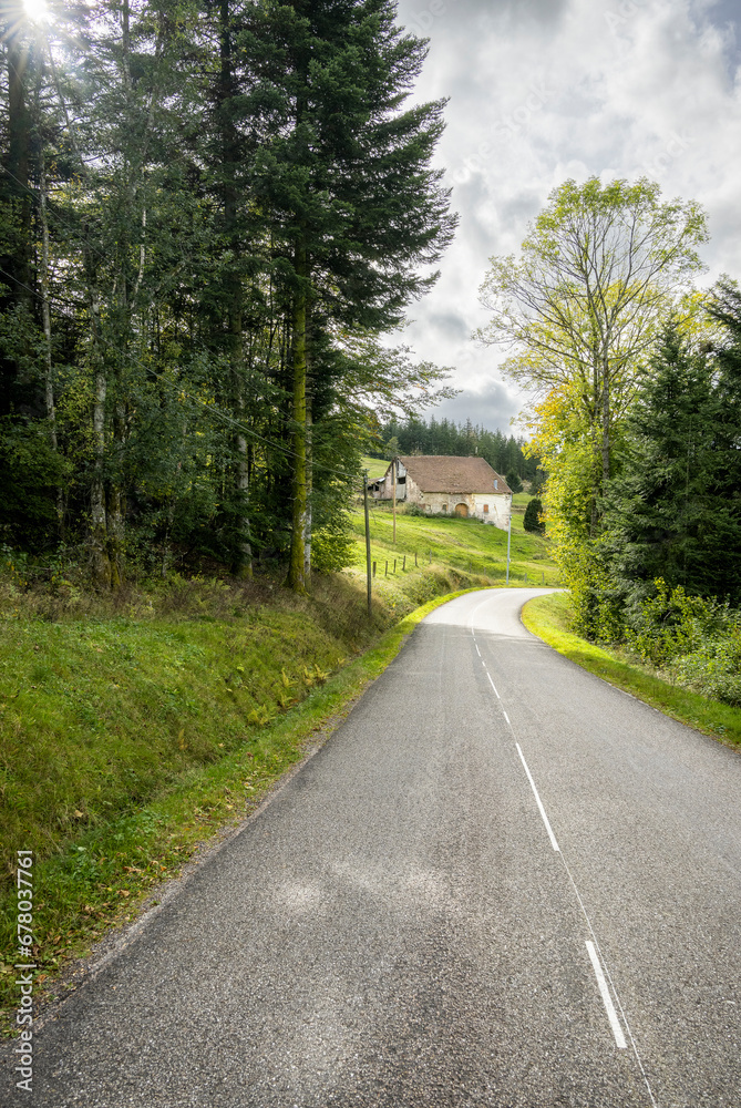 Fototapeta premium Jolie route de campagne au milieu de la forêt vosgienne et ancienne maison