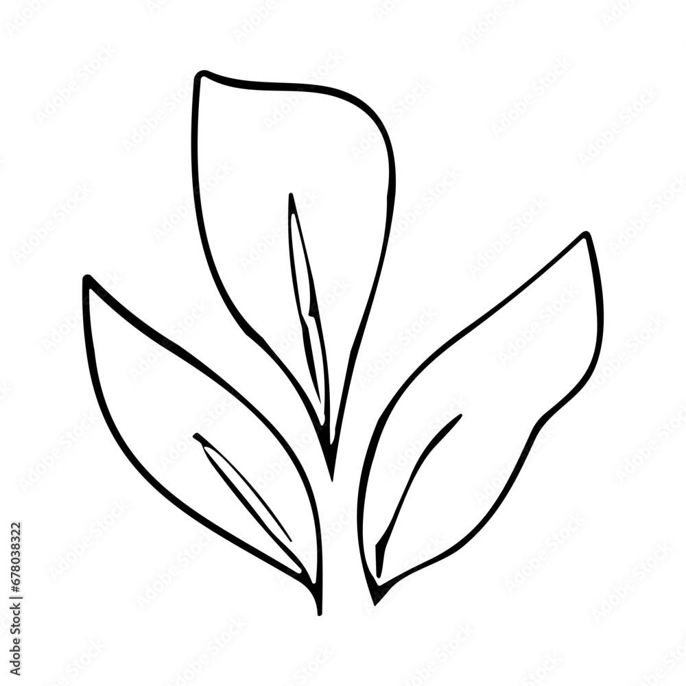 flower and tropical leave vector set flower and tropical leave vector set