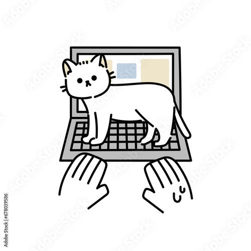 パソコン作業を邪魔する猫