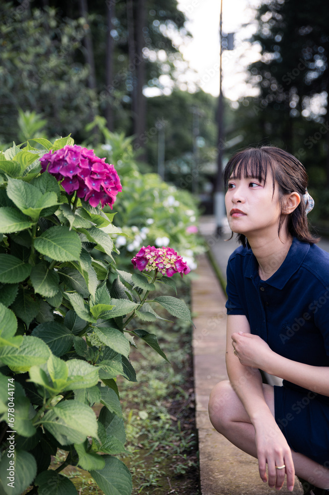 あじさいポートレート あじさいポートレート