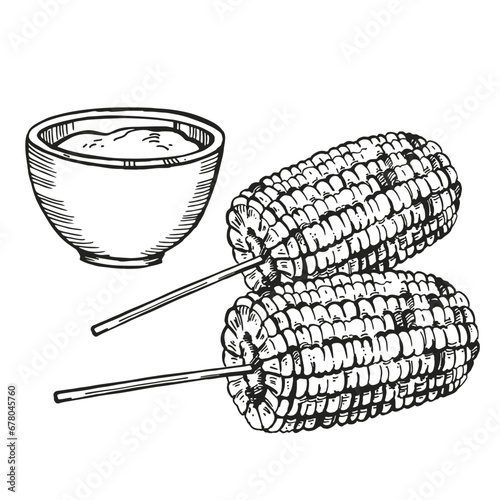 Hand drawn vector sketch of two baked sweet corn and souse, grilled corn ear, black and white illustration of maize ear of corn, inked illustration isolated on white background