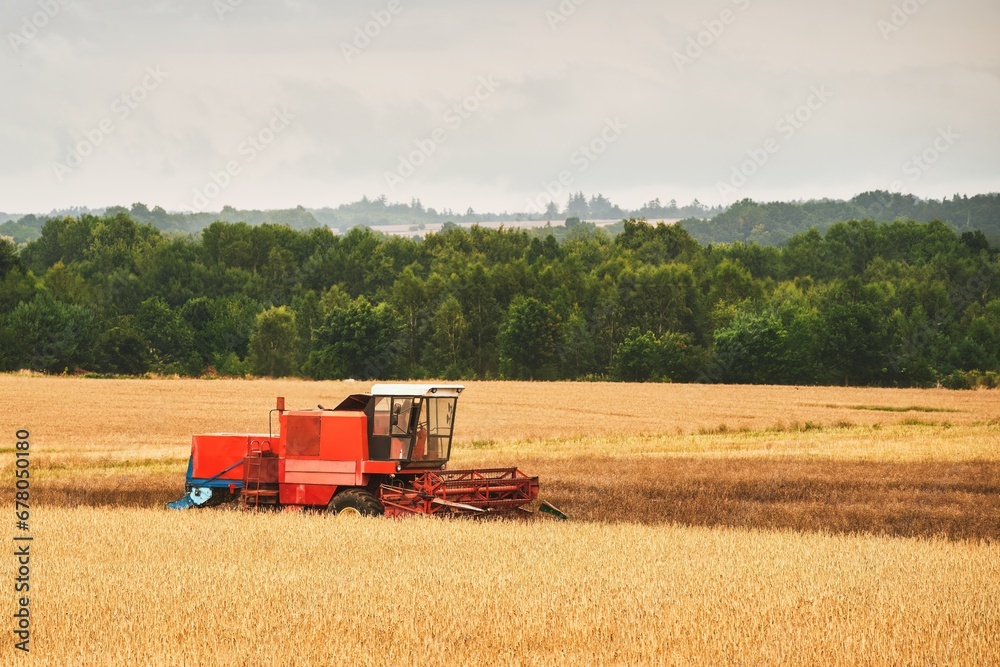 Fototapeta premium Harvesting wheat. Combine harvester at work. Agricultural industrial scene in a farmland.