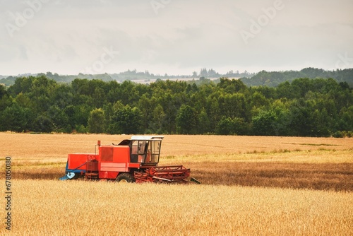 Harvesting wheat. Combine harvester at work. Agricultural industrial scene in a farmland.