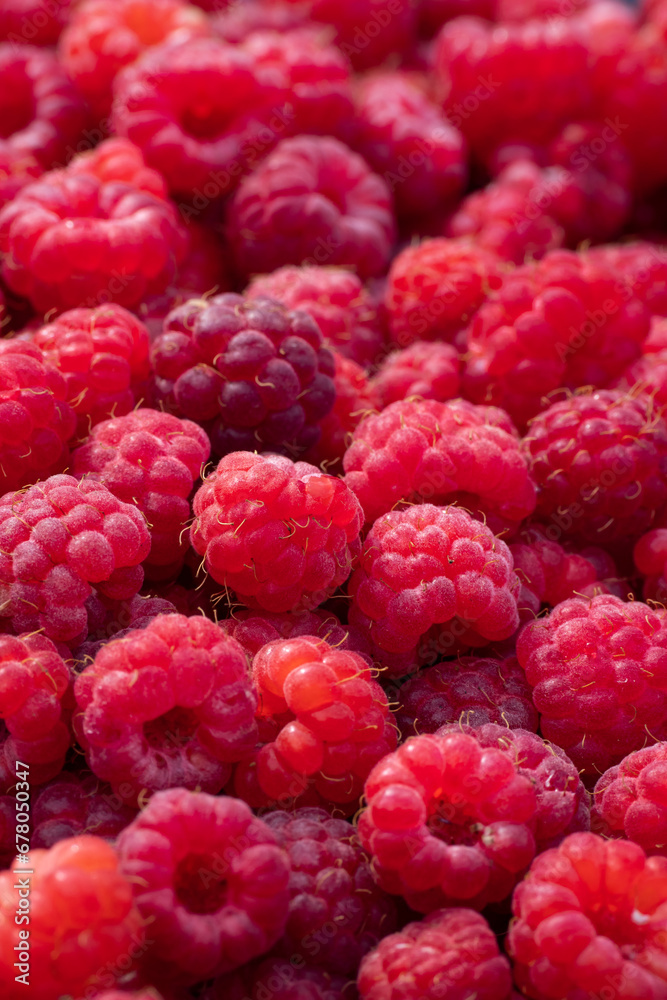 Wild Raspberries foraged in Scandinavia Wild Raspberries foraged in Scandinavia