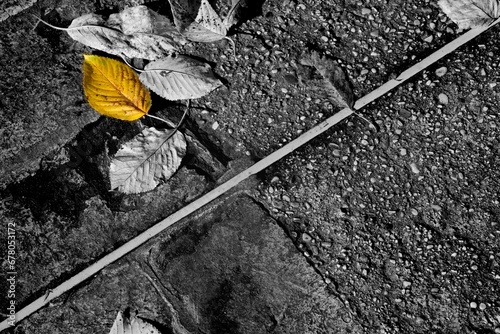 Marciapiede di autunno con foglia gialla e taglio in diagonale photo