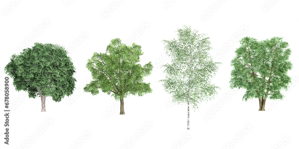 Jungle Ulmus,Robur trees shapes cutout 3d render set