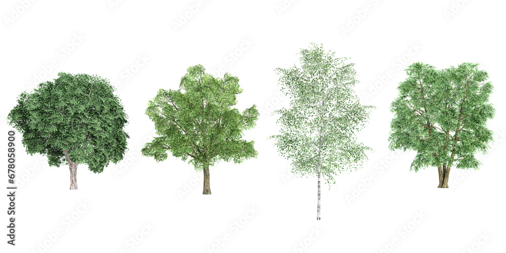 Jungle Ulmus,Robur trees shapes cutout 3d render set Jungle Ulmus,Robur trees shapes cutout 3d render set