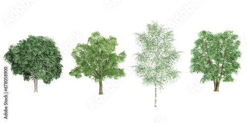 Jungle Ulmus Robur trees shapes cutout 3d render set