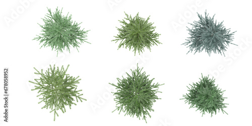 Little pine trees top view on white background photo