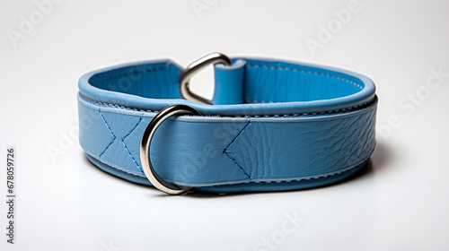 Blue Leather Gog Collar