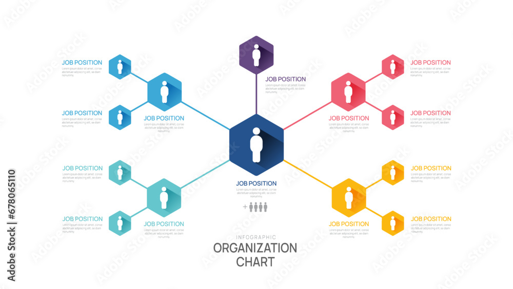 Infographic template for organization chart with business avatar icons. vector infographic for business. - obrazy, fototapety, plakaty 