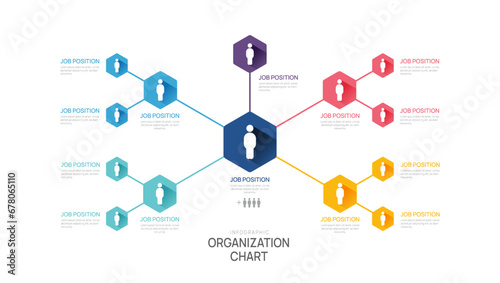 Infographic template for organization chart with business avatar icons. vector infographic for business. photo