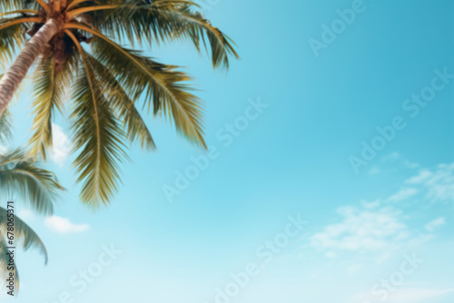 Sunlit palm fronds against a clear blue sky offer a calming tropical backdrop, perfect for summer and vacation themes. Blurred holiday background. Empty, copy space for text.