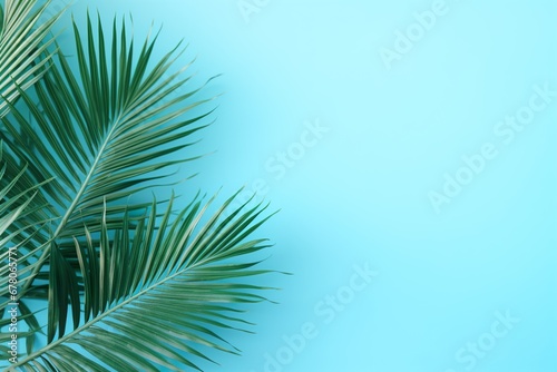Lush green palm fronds against a soft turquoise backdrop, exuding a fresh and tranquil tropical atmosphere. Vacation, holiday background. Empty, copy space for text. Travel, relax.