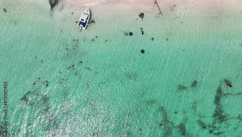 hamelin bay sting rays beach boats australia 4k photo