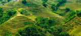 Panormam of the Rice field terraces in Sapa, Vietnam