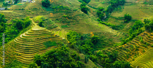 Panormam of the Rice field terraces in Sapa, Vietnam photo