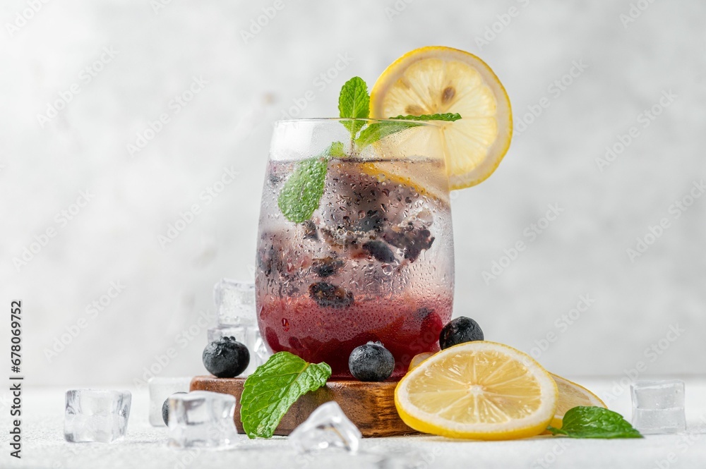 Obraz na plátně Pitcher of freshly prepared blueberry mojito cocktail garnished with colorful fruit pieces