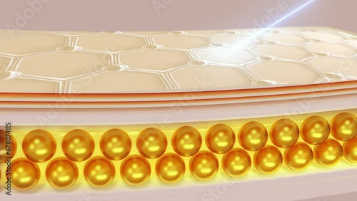 skin layers used as a background for skin care products, 3D sun protection.