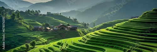 Panoramic image of lush green terraced rice fields with background hills